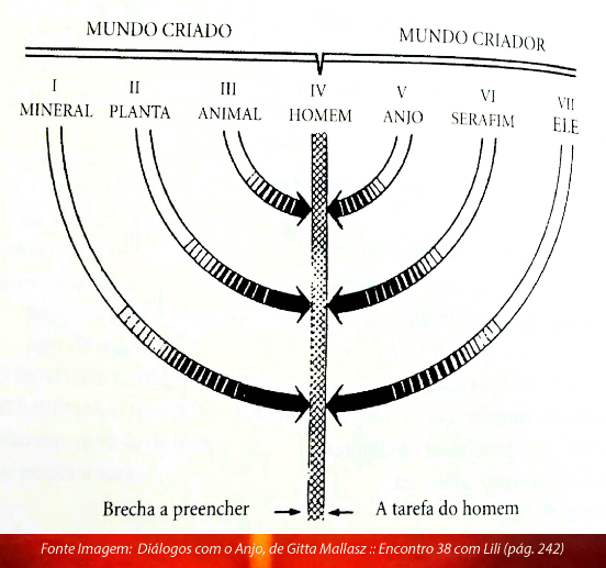 Diagrama Níveis Criacão Criador