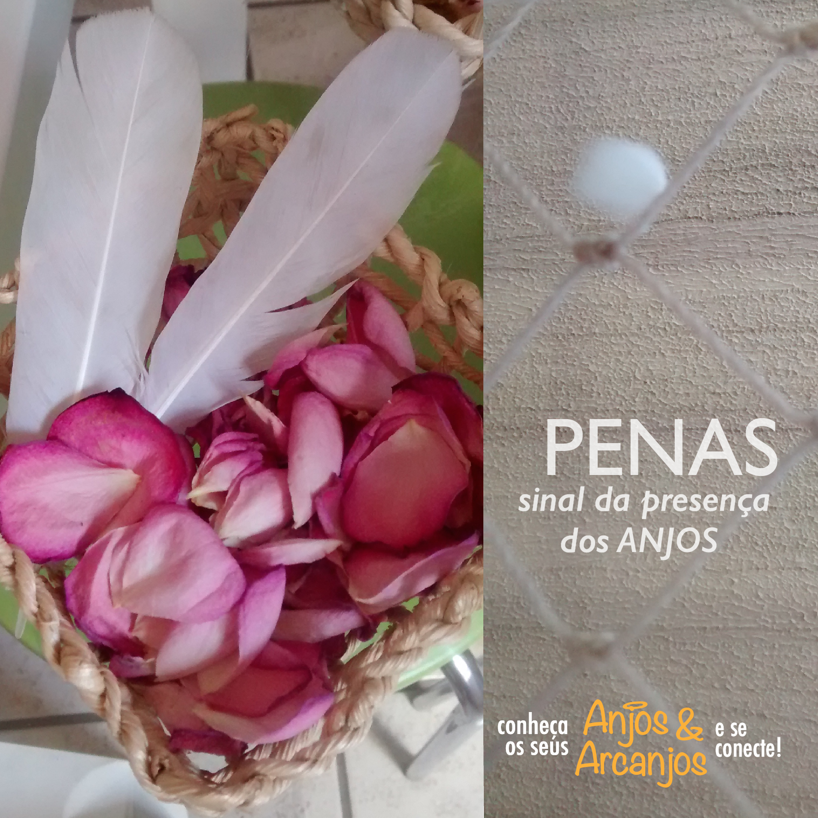 penas5