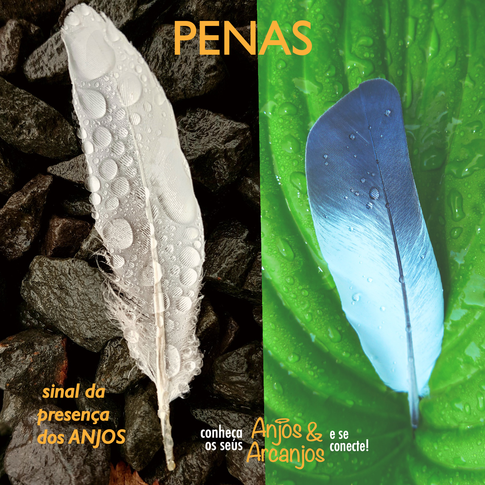 penas6