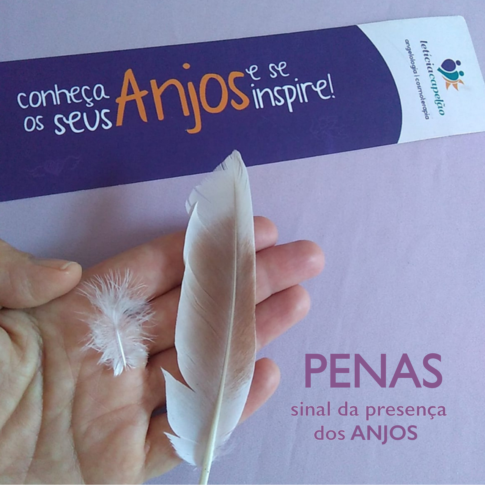 penas8