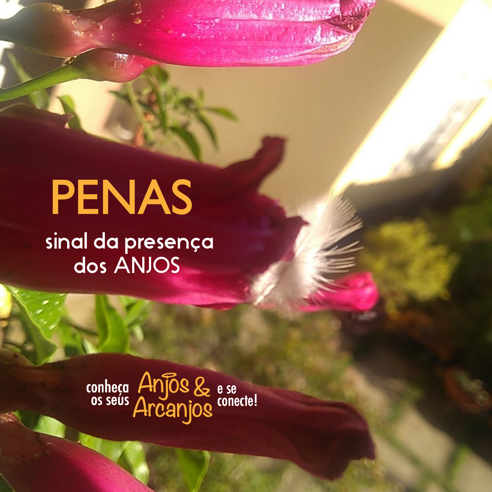 penas12